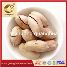 Best Quality Delicious New Crop Pecan Kernels Pecan in Shell